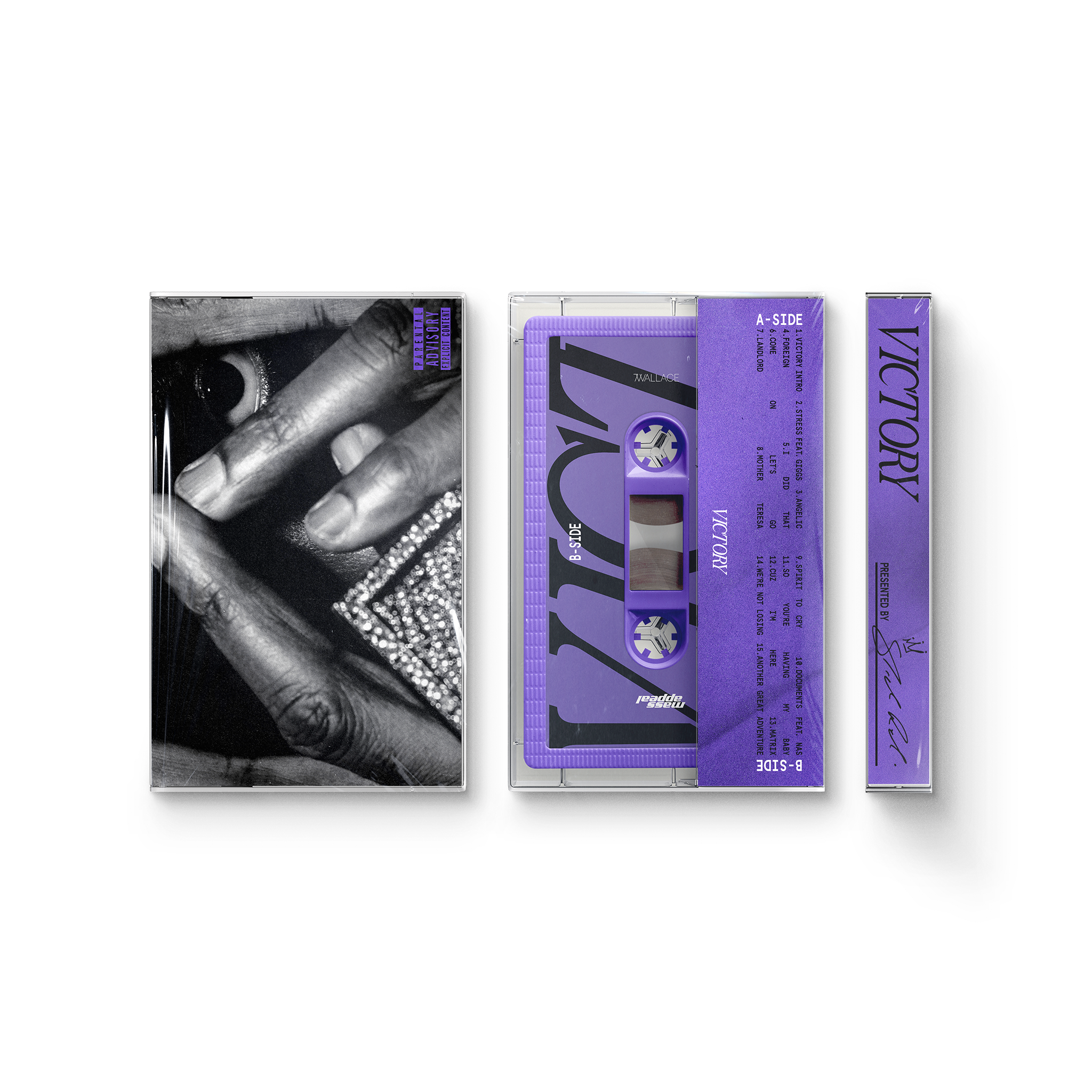 【SiC】gig Cassette Tape Spyro Gyro Spyro Gyro Cassette Tape - Etsy