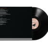 DJ Shadow - The Mountain Will Fall (10th Anniversary Deluxe Edition) - 4xLP