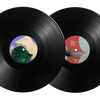 DJ Shadow - The Mountain Will Fall (10th Anniversary Standard Edition) - 2xLP