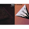 DJ Shadow - The Mountain Will Fall (10th Anniversary Deluxe Edition) - 4xLP